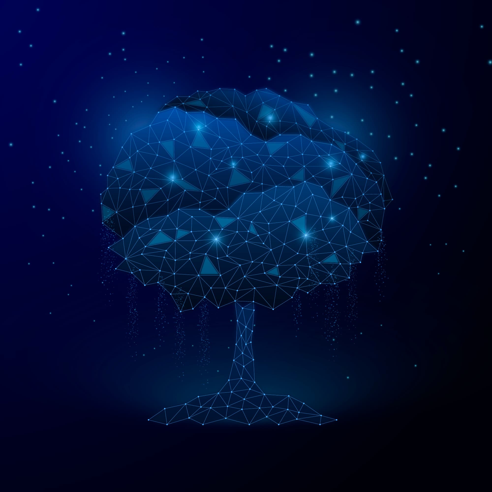 Structures de Données et Algorithmes Avancés : Guide Pratique avec Exemples