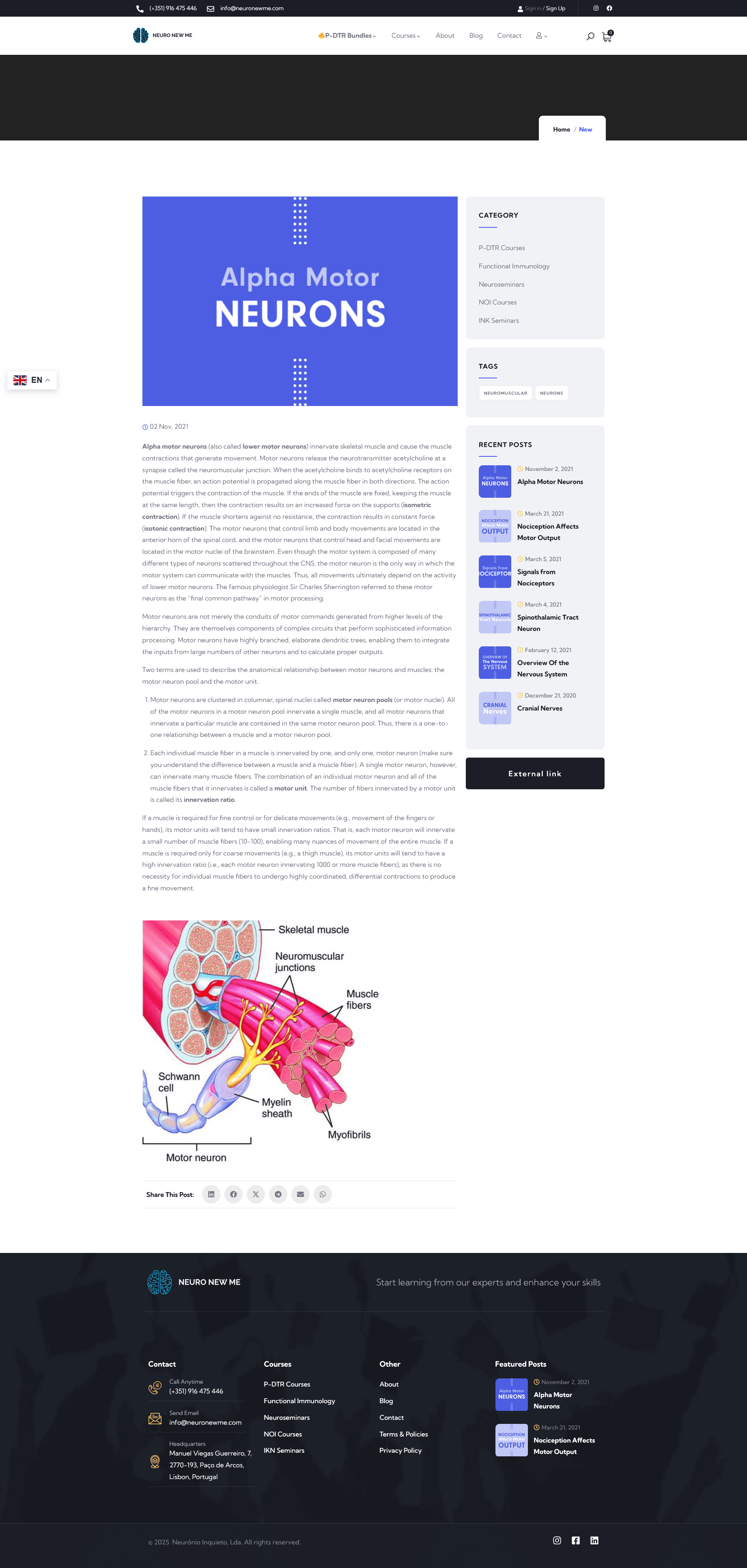 Neuro New Me - Desktop screenshot 5