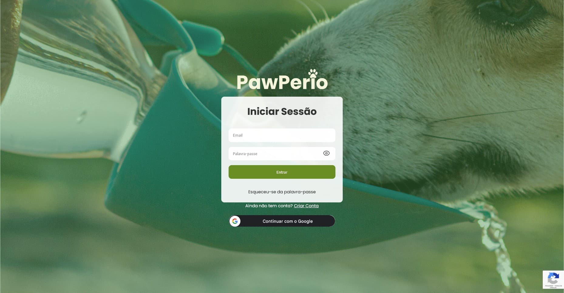 PawPerio - Desktop screenshot 5